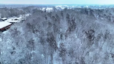 4K 10Bit Aerial Drone Shot of Snowy Dutch Forest Stock Footage 334837619