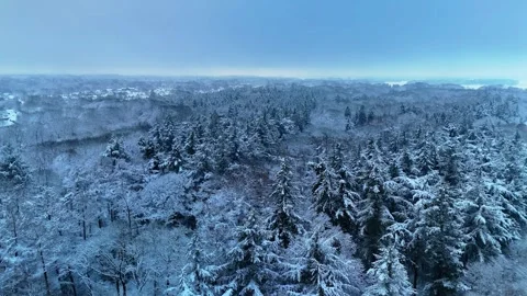 4K 10Bit Beautiful Snow Covered Forest Flyover Stock Footage 334837682