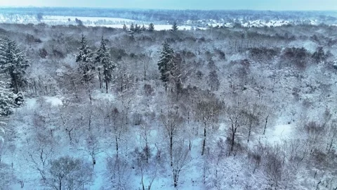 4K 10Bit Cinematic Aerial View of Winter Forest Stock Footage 334837544