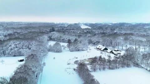 4K 10Bit Drone Flyover Above Snow Covered Trees Vidéo 334837551