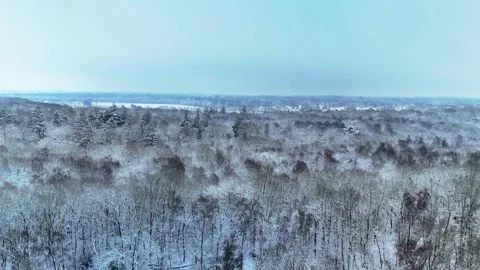 4K 10Bit Peaceful Winter Forest Aerial View Stock Footage 334837703