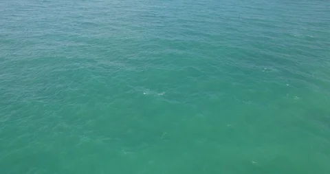 4k 24 Aerial Looking down a the Blue waters of the ocean Stock Footage 86094363