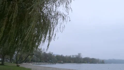 4K 25fps Stock Footage 294978014