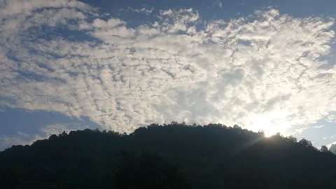 4K 282 Stock Footage 338399784