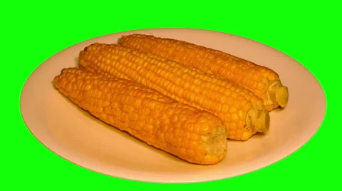 4k – 3 fresh boiled corncobs on plate Stock Footage 57472162