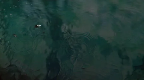4K 30fps, Heavy rain in puddle, Slow Motion Stock Footage 55533940