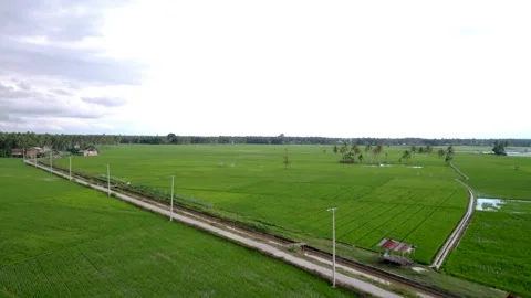 4k 30fps The Paddy Rice Fields of sulawesi, indonesia Stock Footage 240401957