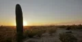 4K 30p Saguaro Cactus Sunset over the Sonora Desert Time Lapse 4k or 4k+ Resolution
