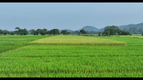 4K 328 Stock Footage 338400935