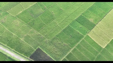 4K  329 Stock Footage 338400912