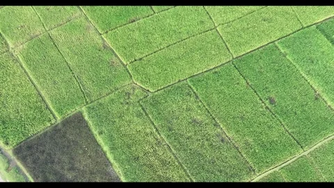 4K  330 Stock Footage 338400926