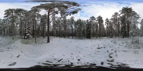 4k+ 360 Degree VR Winter Snowy Forest on Partly Cloudy Day on Trail in Sweden Stockbeeldmateriaal 236841878