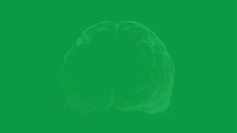4K 360 Looping Black Brain Wireframe with Green Screen Effect Stock Footage 297953766