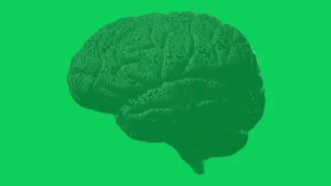 4K 360 Looping Black Brain Wireframe with Green Screen Effect Stock Footage 297953768
