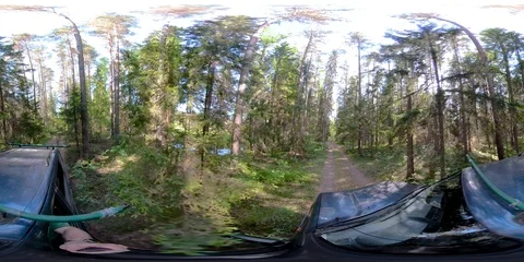 4K 360 VR 360VR of The trees and plants on the forest in Estonia virtual Stock Footage 91722189
