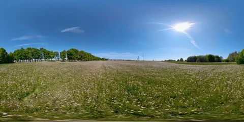 4K 360 VR immersive video of View of the sun in the sky in the field in Estonia Stock Footage 90950020