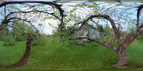 4K 360 VR immersive virtual reality panorama of The 360-video of the lawn Stock Footage 90882294