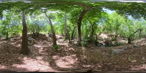 4K 360° VR Video of Forest Stream at Tang-e Ghureh Dan Stock Footage 340052291