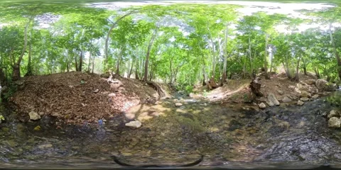 4K 360° VR Video of Forest Stream at Tang-e Ghureh Dan Stock Footage 340057329