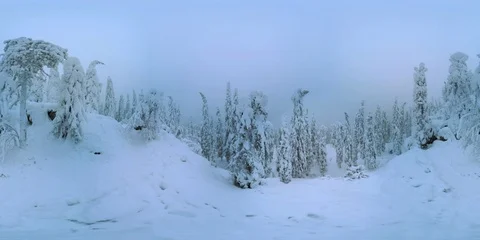 4K 360 VR video, winter nature nordic  landscape Koli  Finland. Vídeos de archivo 105425191