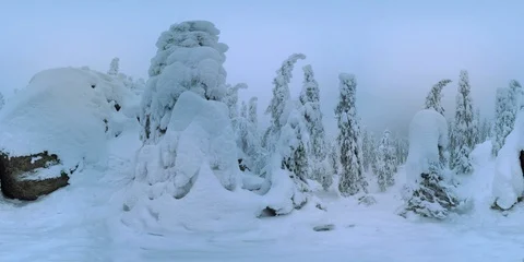 4K 360 VR video, winter nature nordic  landscape Koli  Finland. Видео 105428259