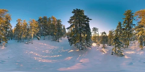 4K 360 VR video winter nature nordic landscape snow forest and lake on sunset Видео 122494527