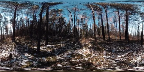 4K 360 VR virtual Reality of a beautiful mountain scene at the autumn time. Wild Stock Footage 86014897