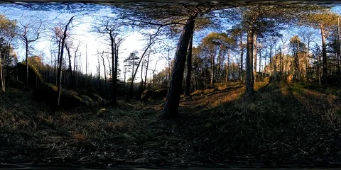 4K 360 VR virtual Reality of a beautiful mountain scene at the autumn time. Wild Stock Footage 94245033