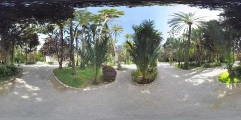 4K 360VR video, Spain, Elche municipal palm park views 360 vr. Vidéo 105852313