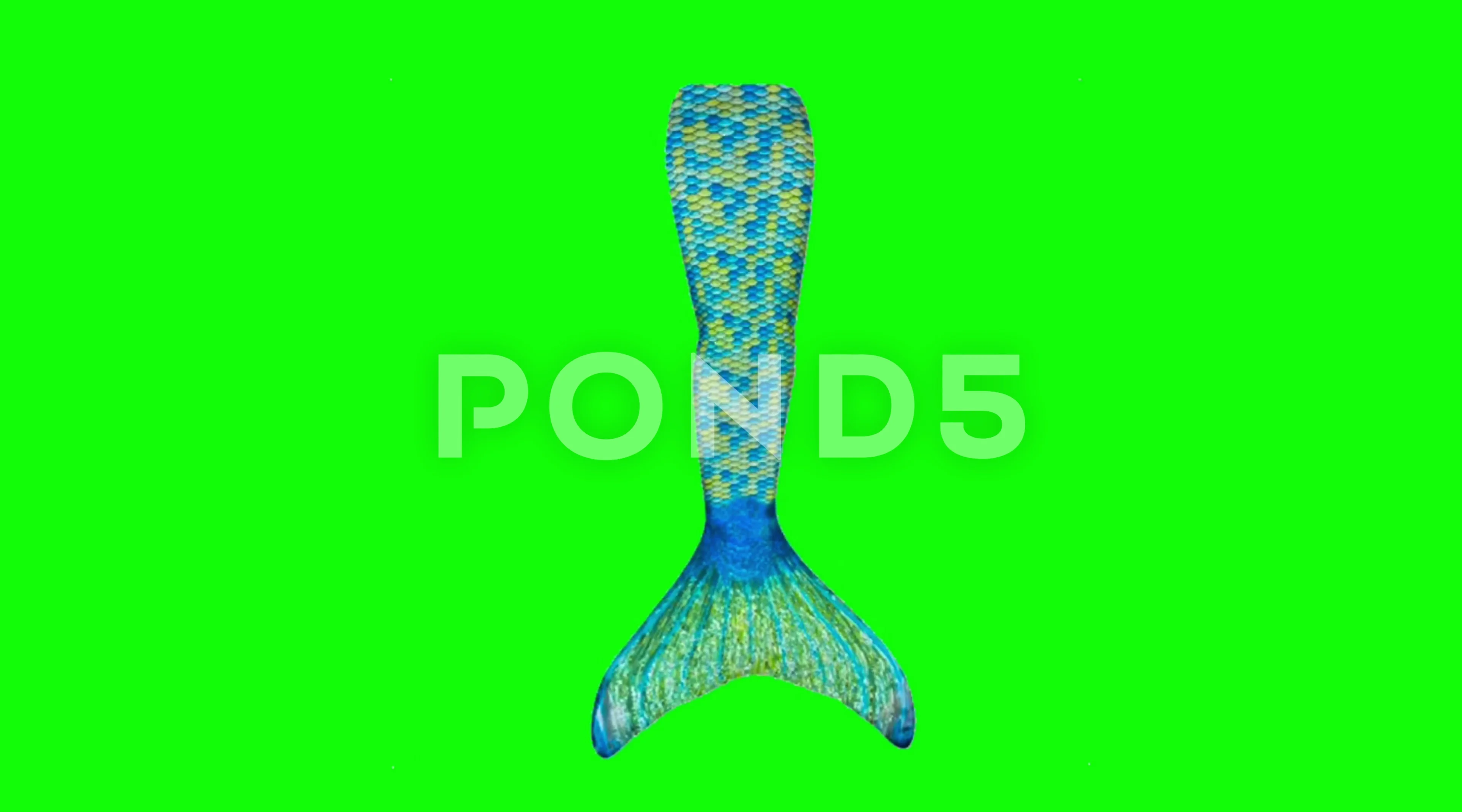 4K 3d animation mermaid tail moving on a... | Stock Video | Pond5