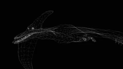 4k 3d animation of wireframe Pterodactyl flying on black screen Stock Footage 201248334