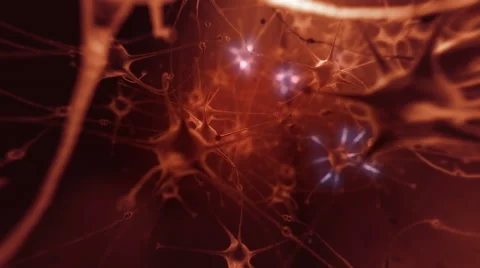 4K 3d flight through human neural network. Depth of field. Stock Footage 40082629