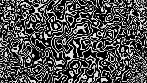 4K 3D Looping Animation of Abstract Black and White Topographic Lines Background Stock Footage 316828756