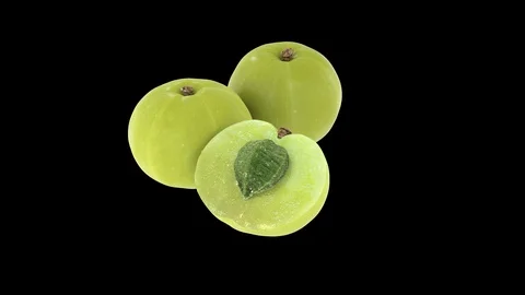 4K 3D Realistic Emblica Floating Rotating with Alpha Channel Vidéo 122305902