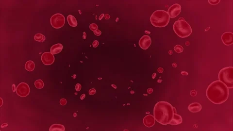 4K 3D Red blood cells flow inside body, medical human health-care Loop Stock Footage 140771402