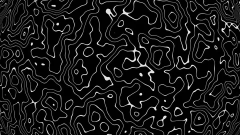 4k 3D Seamless Loop of Organic Wavy Topography Lines on a Dark 3D Surface. Stock Footage 316828757