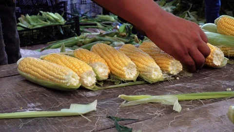 4K-465 Stock-Footage 96042841