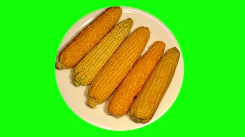 4k – 5 big boiled corncobs on plate Stock Footage 56462477