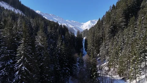 4K 60 Cinematic Drone Flight: Voglalpgraben Valley Deep Forest  - Saalbach Vídeos de archivo 331078152