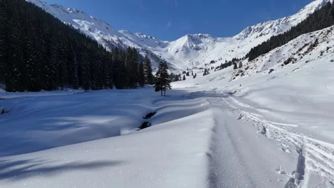 4K 60 Drone Forward: Deep Snow Shadow to Sunny Alps - Saalbach Vídeos de archivo 331080887