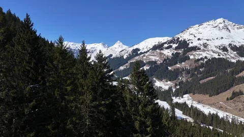 4K 60 Drone Forward: Flying Between Snowy Trees in Lengau Alps Vídeos de archivo 331213528