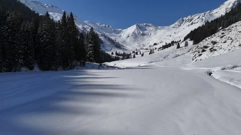 4K 60 Drone Vertical Ascent: Isolated Tree to Alps Reveal - Saalbach Vídeos de archivo 331153384