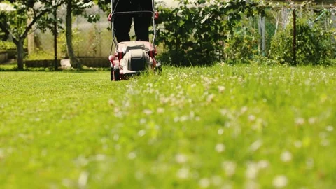 4K 60 fps Slow motion video of a red lawn mower machine trimming green grass. Stock Footage 342663606