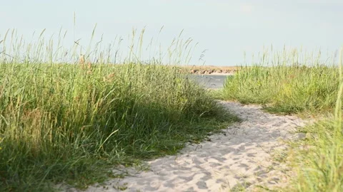 4K 60 fps video of sunset on Baltic sea with dune on foreground Stock Footage 155801381