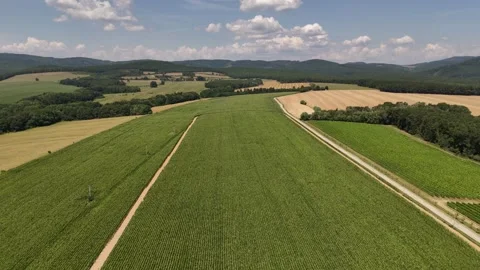 4K 60fps Aerial Fly Forward Over Green Corn Field And Countryside Stock Footage 340529208