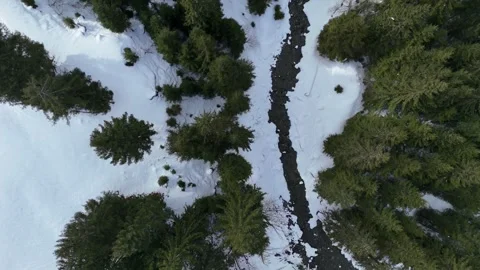 4K 60fps Aerial top-down forest a river pull-back Saalbach - Hinterglemm, Lengau Vídeos de archivo 329684812