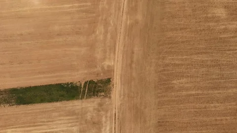 4K 60fps Aerial Top Down: Long Rotation Left Over Agricultural Farmland Stock Footage 340409307