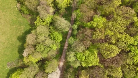 4K 60fps Drone 90-Degree Top-Down: Rotating Descent Over Forest Road, Orovnica Stock Footage 336267500