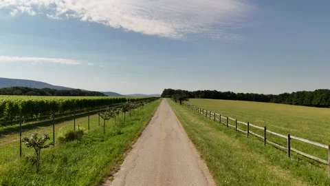 4K 60fps Drone: Ascending Flight Over Country Road and Vineyard Stock Footage 337542337