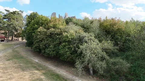 4K 60fps Drone Ascent Reveal: Hrusov Castle Ruins Emerging Over Forest Stockbeeldmateriaal 343430867